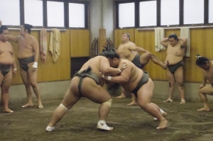 Sumo practice in tokyo